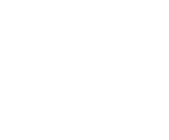Patch Up Pros Inc.